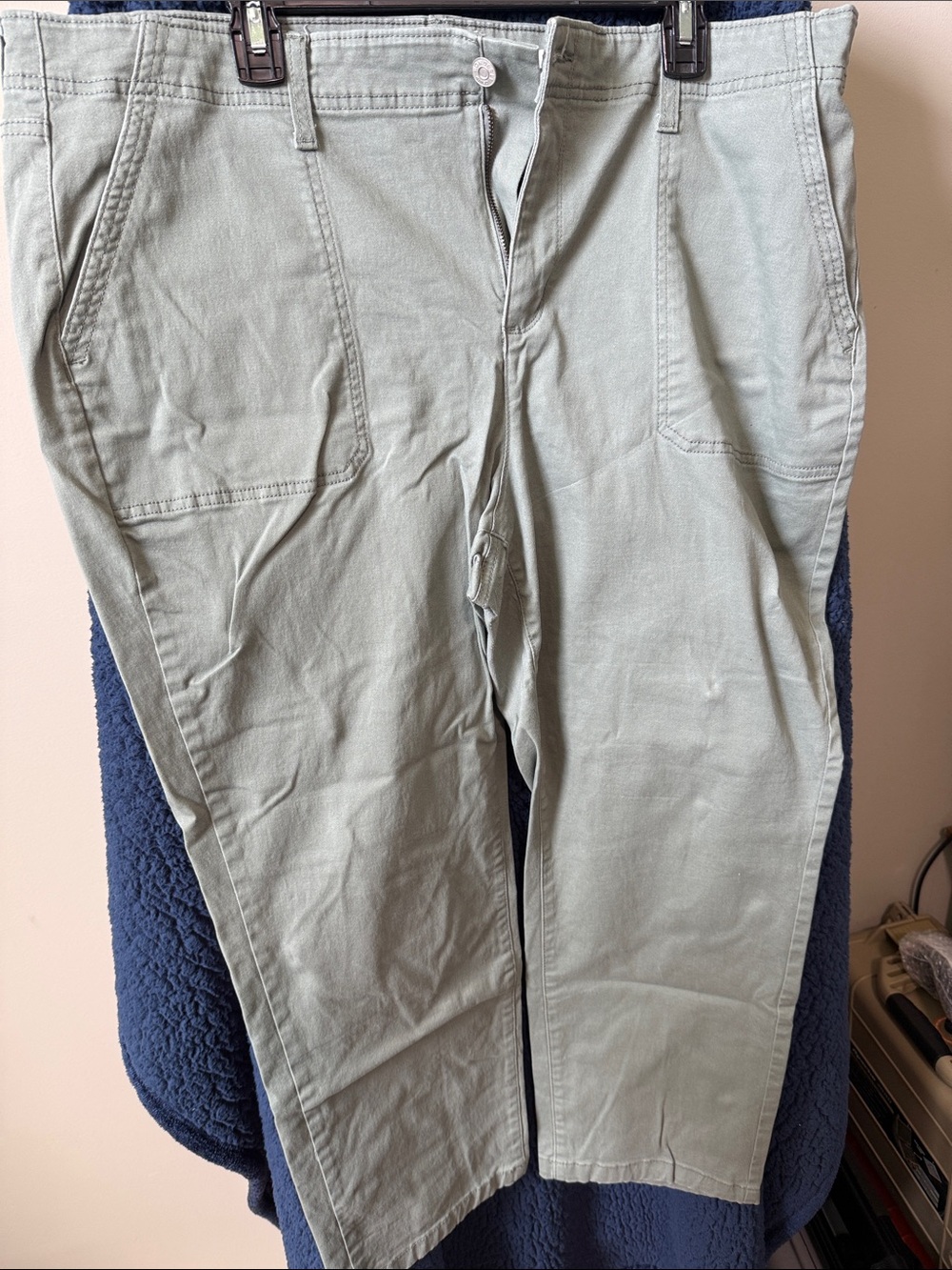 Wonderly Light Sage Cropped Casual Pants (74)